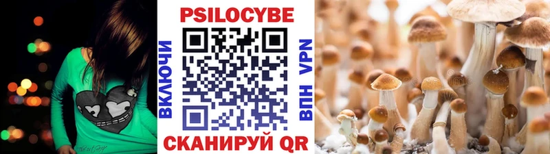 Псилоцибиновые грибы мицелий  Усть-Илимск 